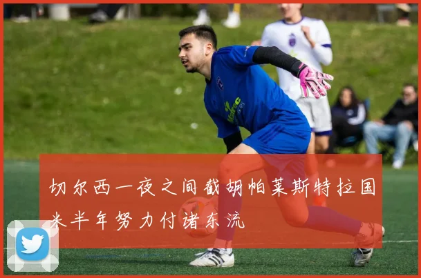 切尔西一夜之间截胡帕莱斯特拉国米半年努力付诸东流